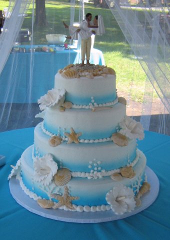 Seashells Tanya - 4 tier seashells for Tanya and Sean. Gum paste flowers, caramel/sand color shells. Blue on white airbrushing.7", 10", 13, 16" tiers. 15+ pounds. Serves 125 to 140.This was at the park on a wonderful day. They had the brilliant idea to have netting draped around the table.
